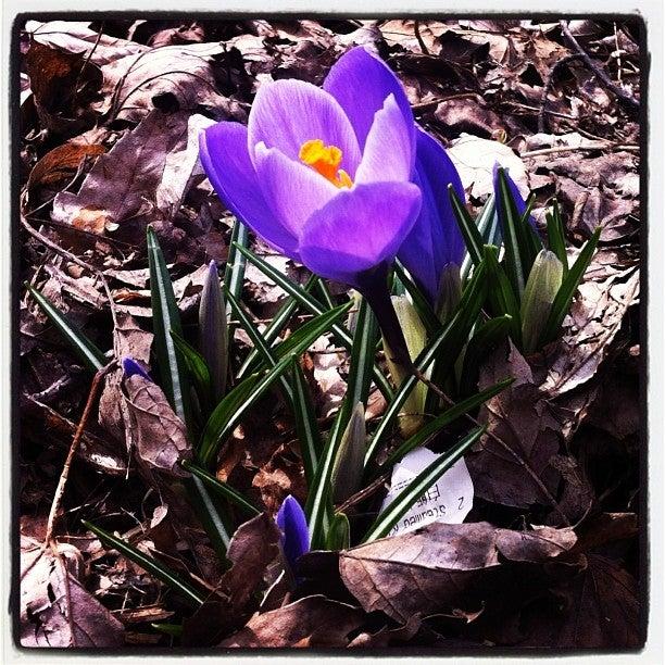 Spencer Cowan Parkette