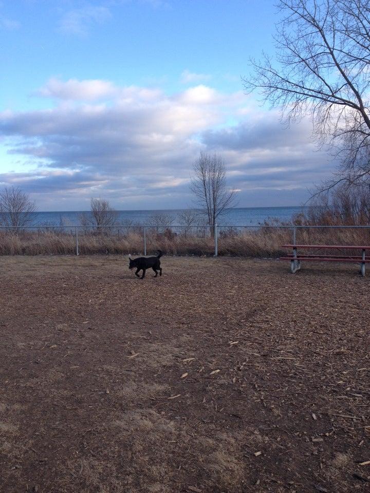 Lakeside Leash-Free Mississauga Park