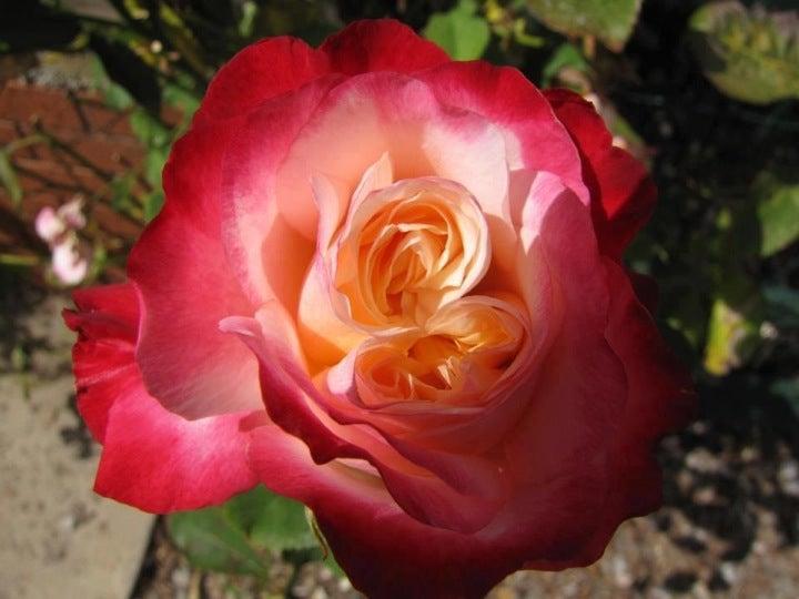 TD Bank Financial Group