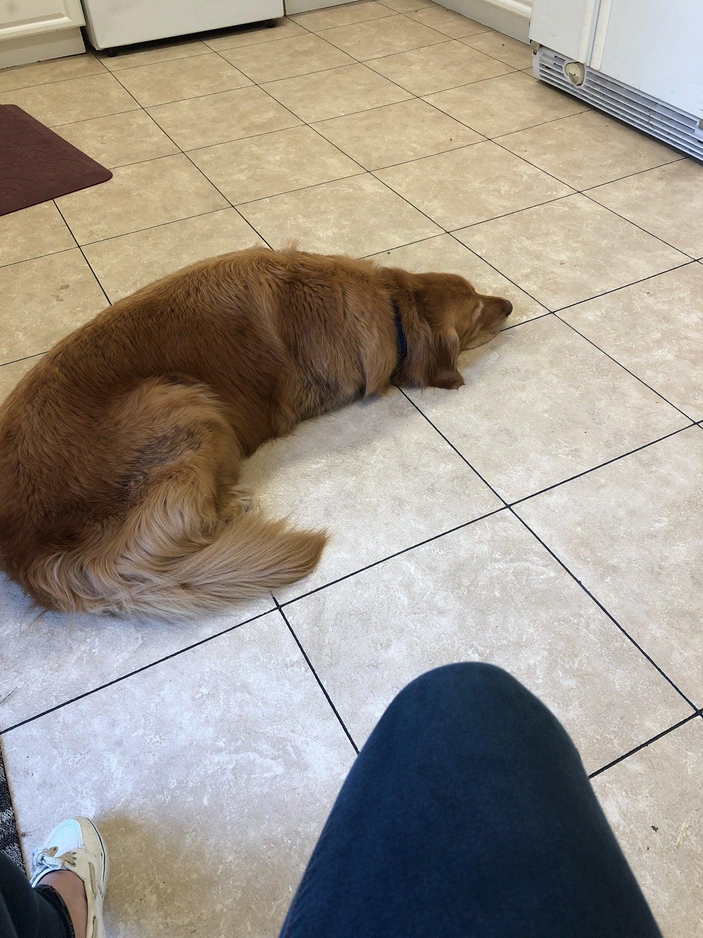 Ferndale YMCA Child Care Centre