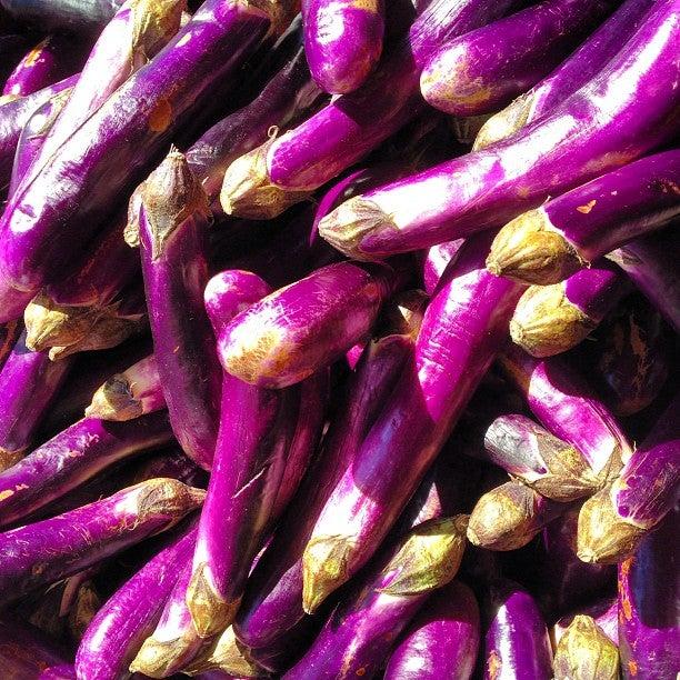 South China Herbs Market