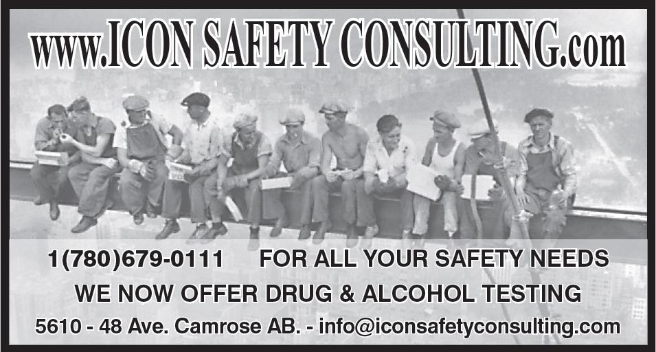 Icon Safety Consulting