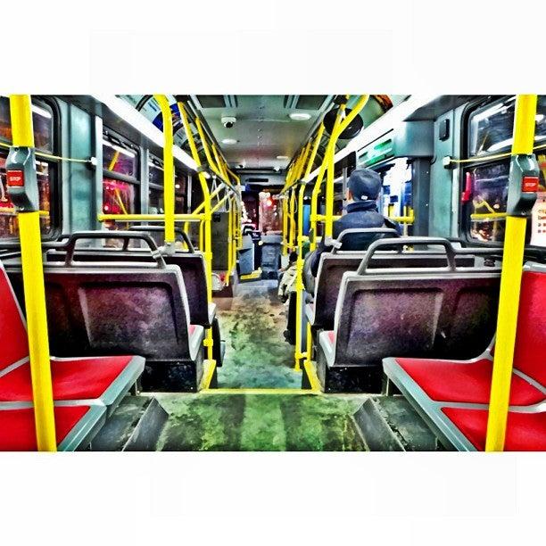 TTC Blue Night Bus 307 Bathurst