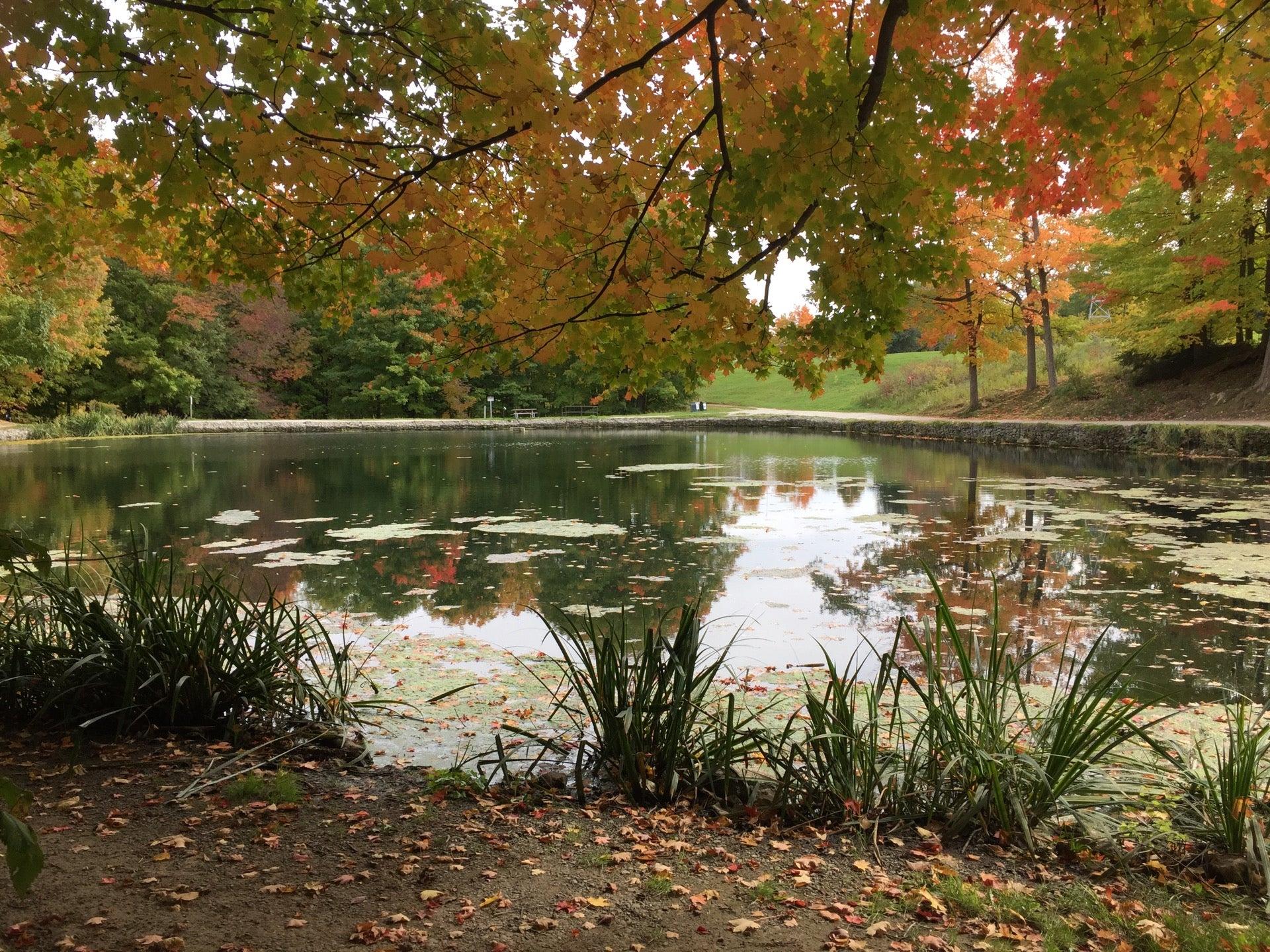 Glen Haffy Conservation Area