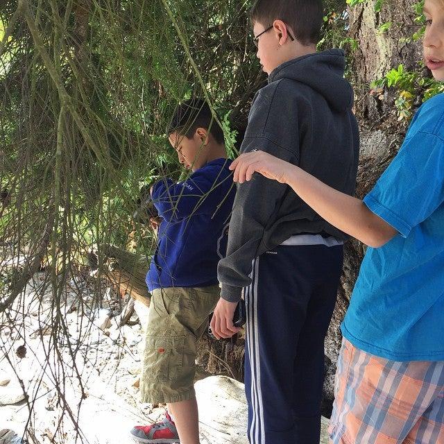 Parksville Car Clinic