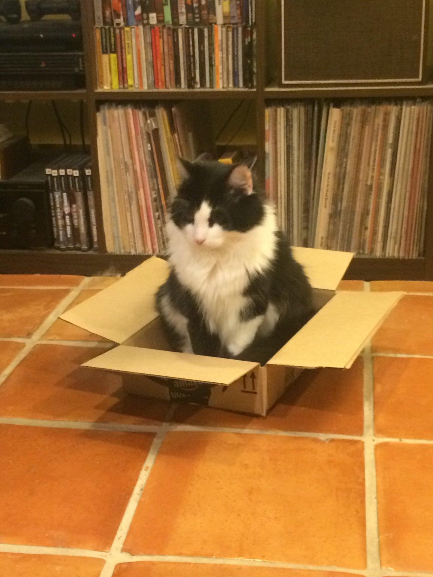 UrbanTrans Thinkhole