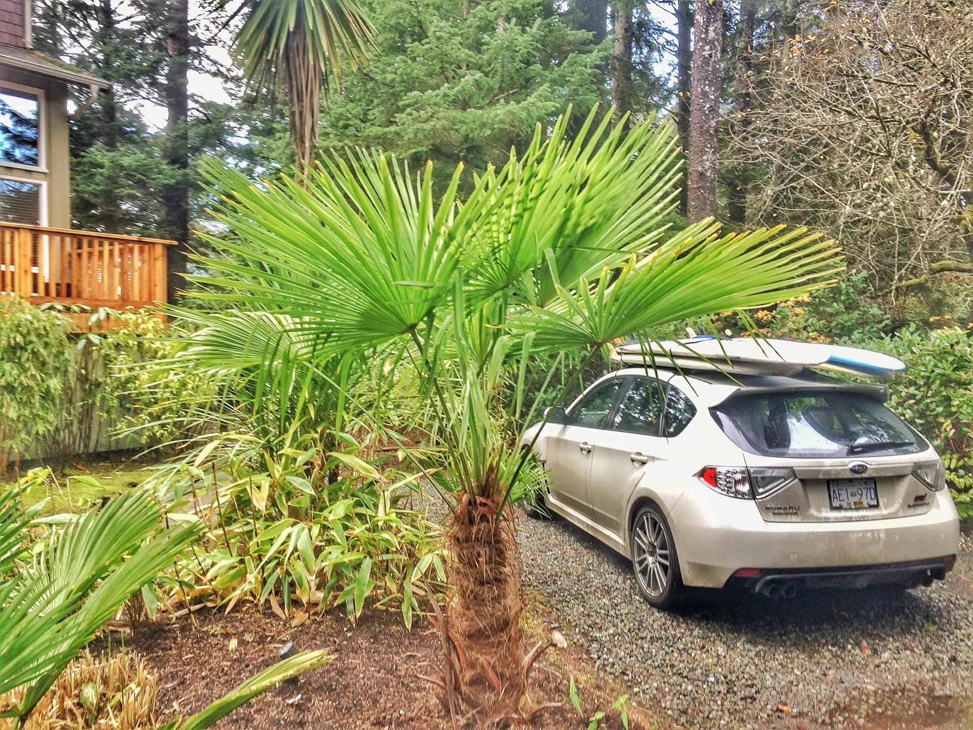 Chesterman Beach Estates