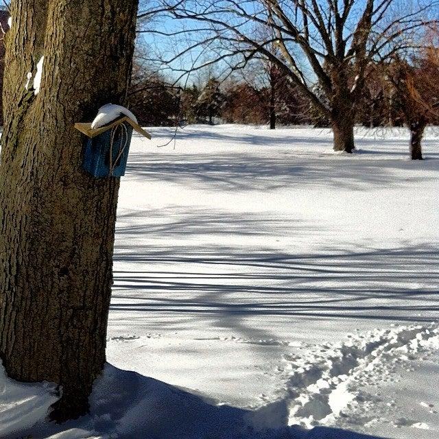 Lakeview Golf Course