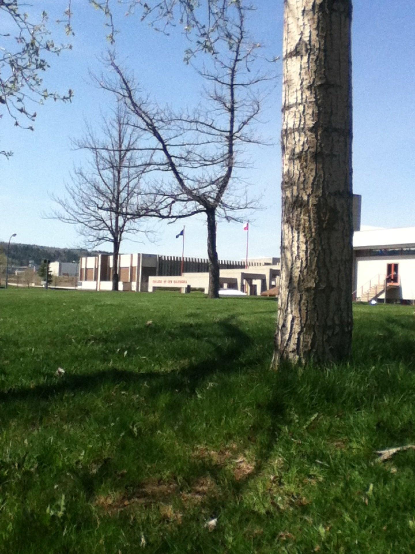 College of New Caledonia