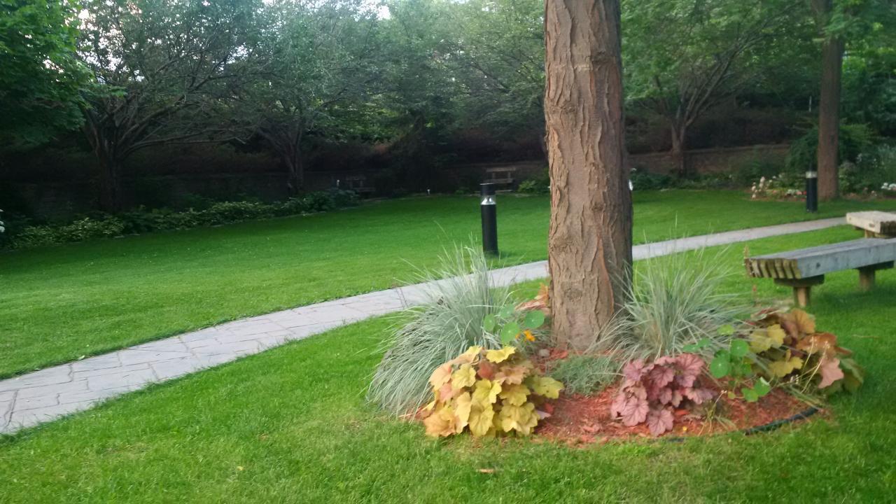 Saint Martin in-the-Fields