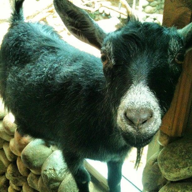 Colasanti's Tropical Gardens