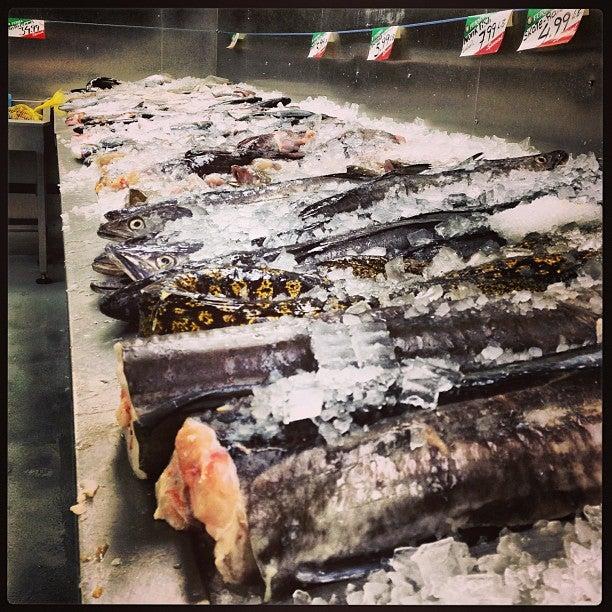 Osler Fish Terminal Inc
