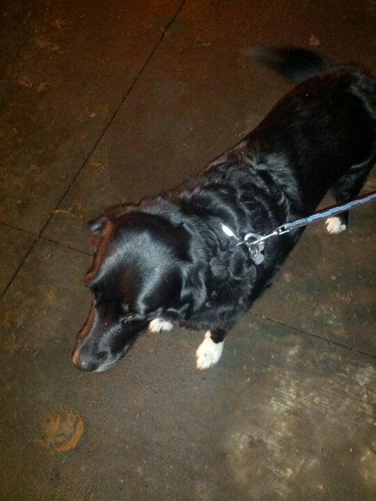 Millbourne Market Mall