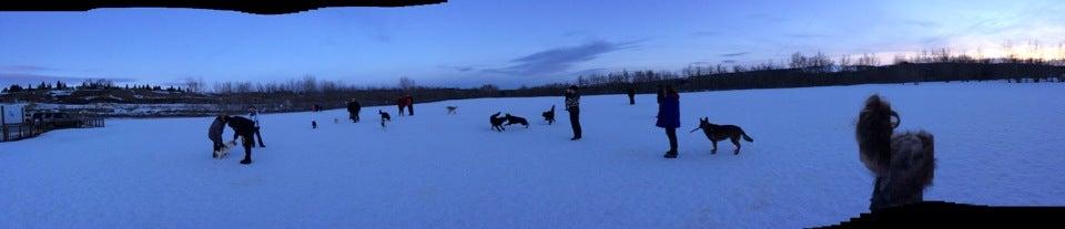 Bowmont Park Off-Leash Area