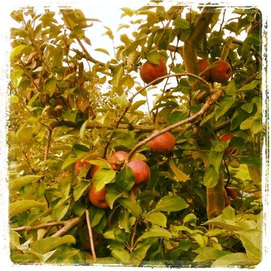 Applewood Farm Winery