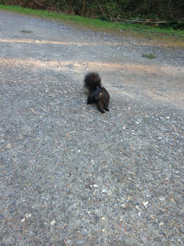 BC Parkway Urban Trail
