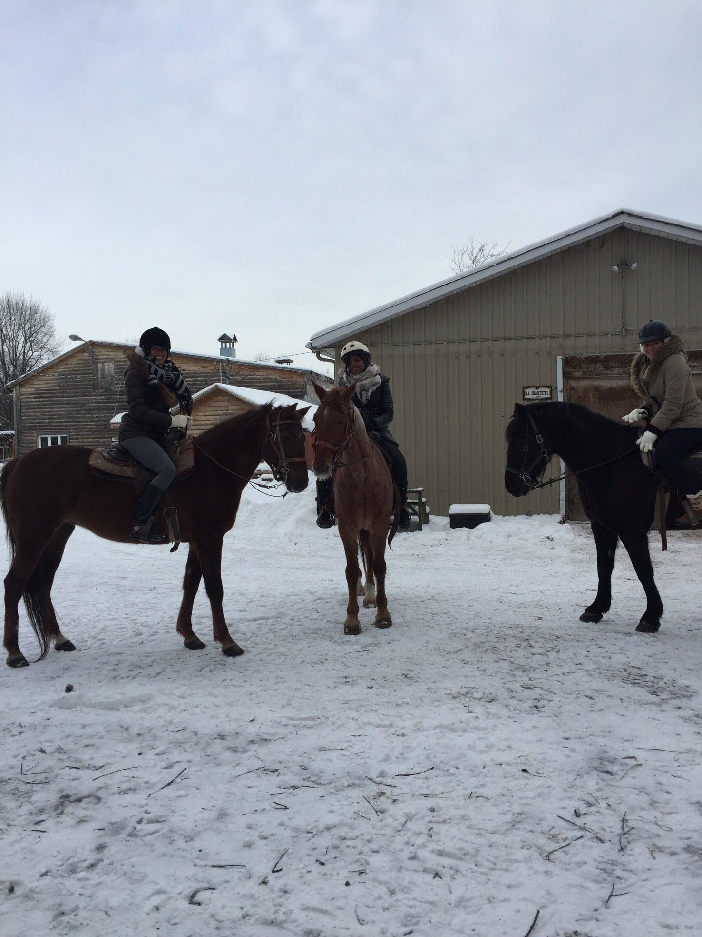 Ferme L'Auteuilloise