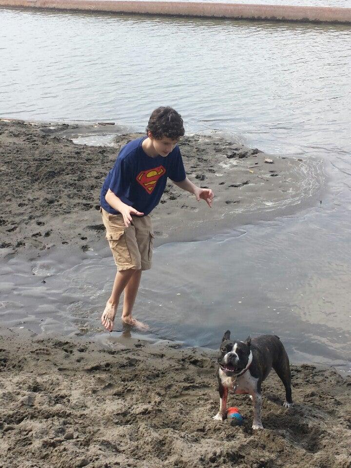 Tannery Dog Park