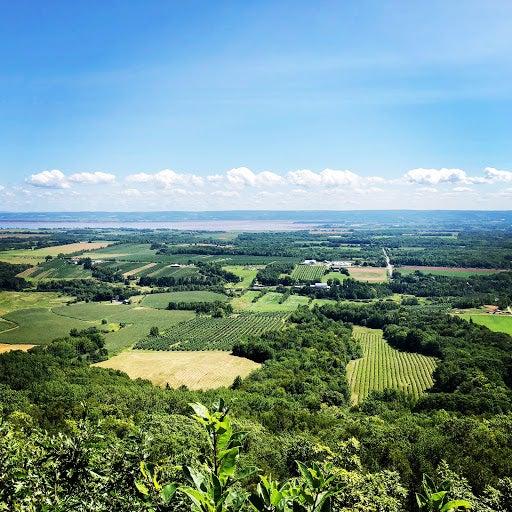 Charlene Meister Exit Realty