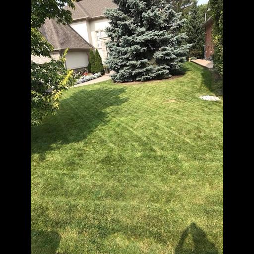 Northern Lights Lawn Maintenance