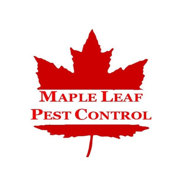 The Bed Bug Pros