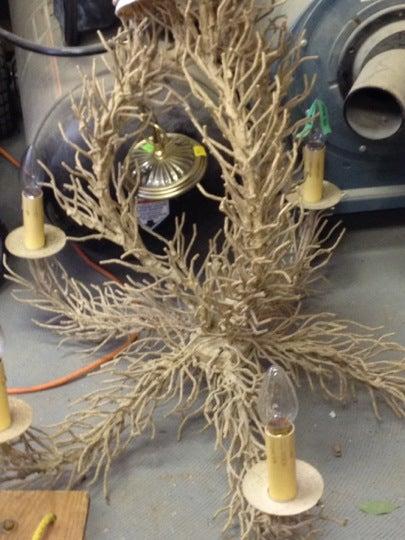 Habitat For Humanity