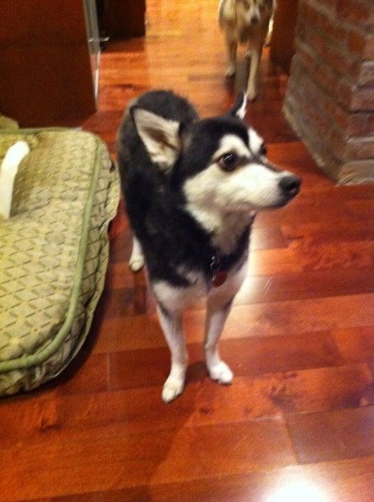 Trit-Trot Farms RV Park