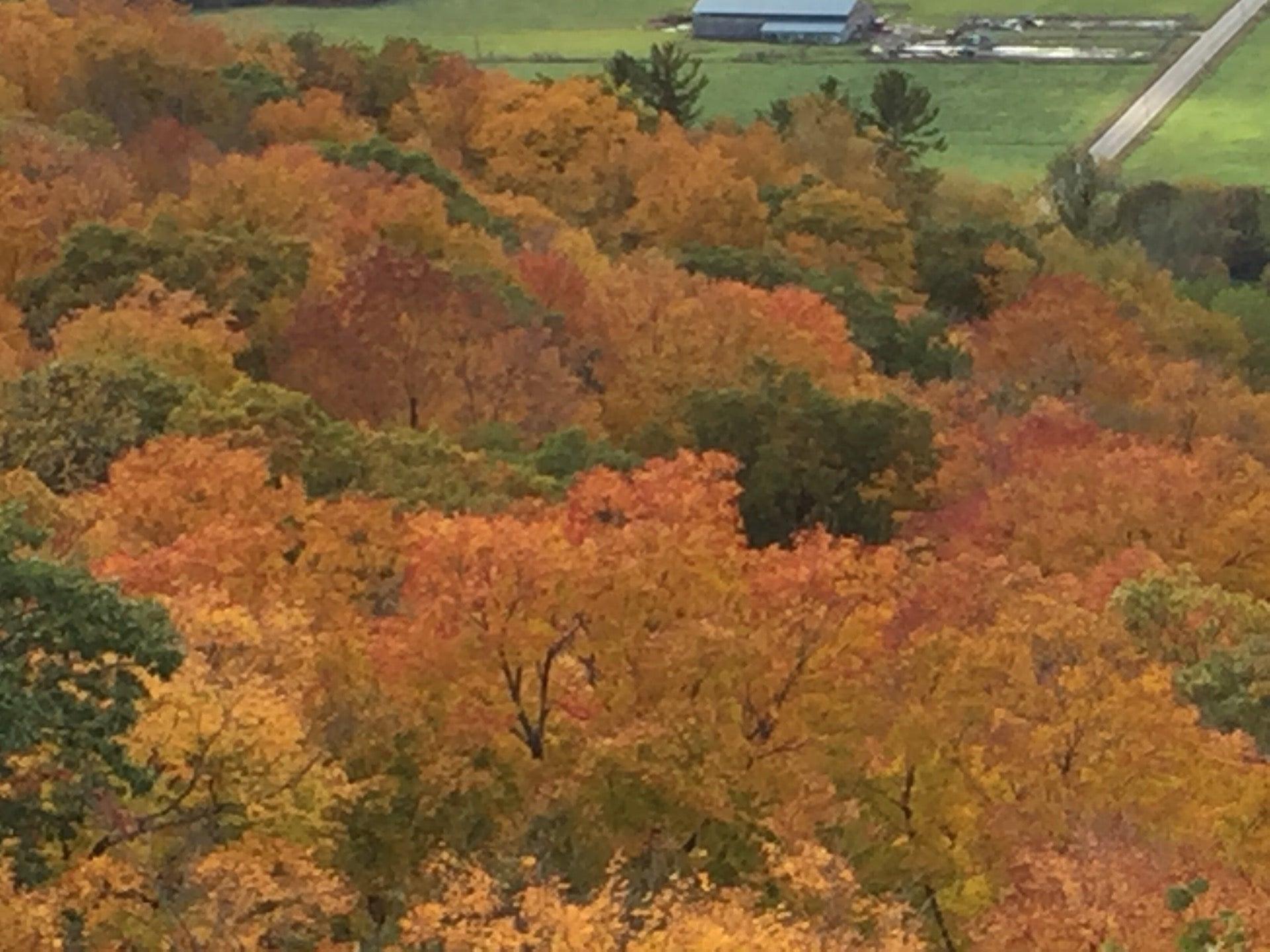 Champlain Trail, Gatineau Park