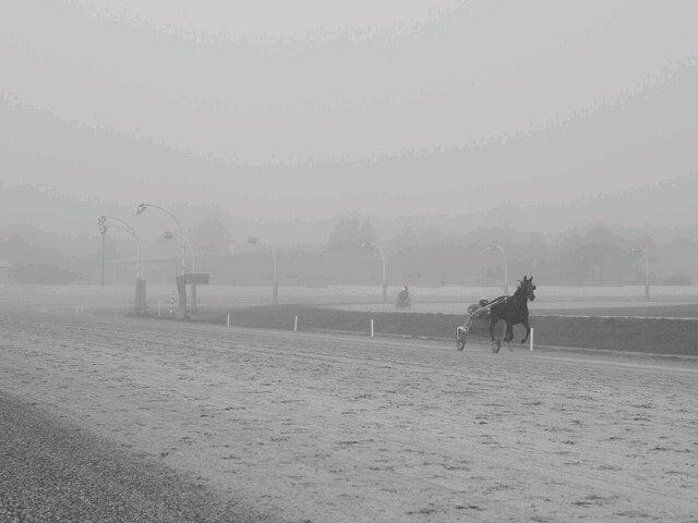 Elements Casino Surrey