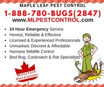 Maple Leaf Pest Control