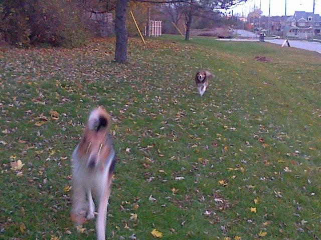 Cheryl Gordon Bookkeeping Svc