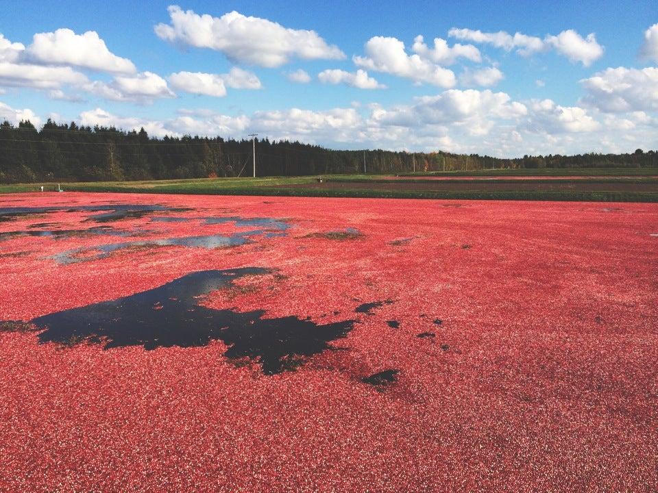 Centre D'Interpretation de la Canneberge