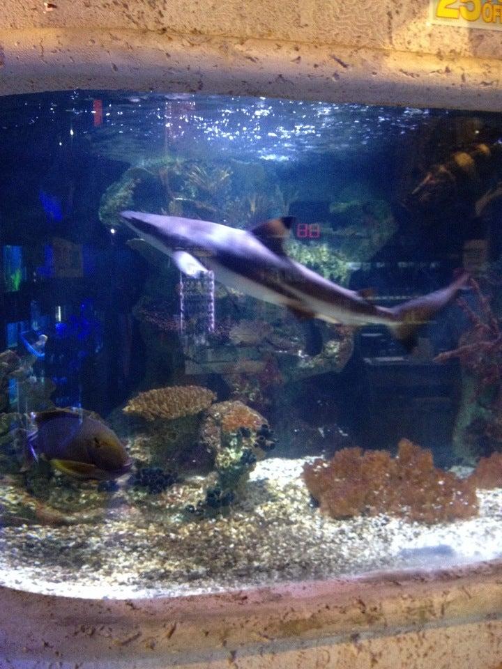 Big al's Aquarium Supercentres