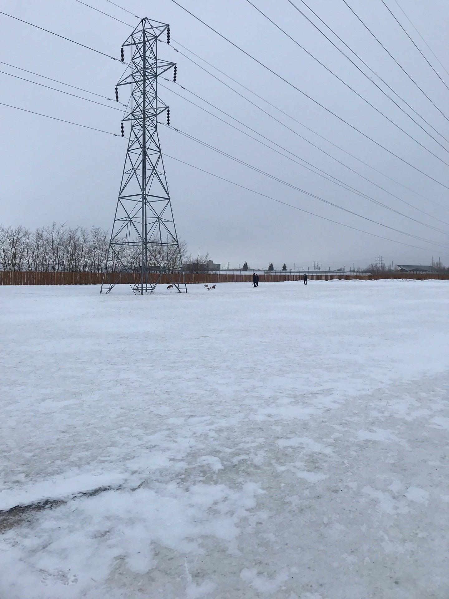 Brenda Leipsic off-leash dog park