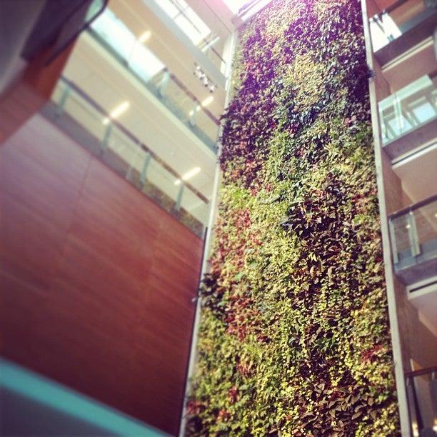 Faculty of Social Sciences