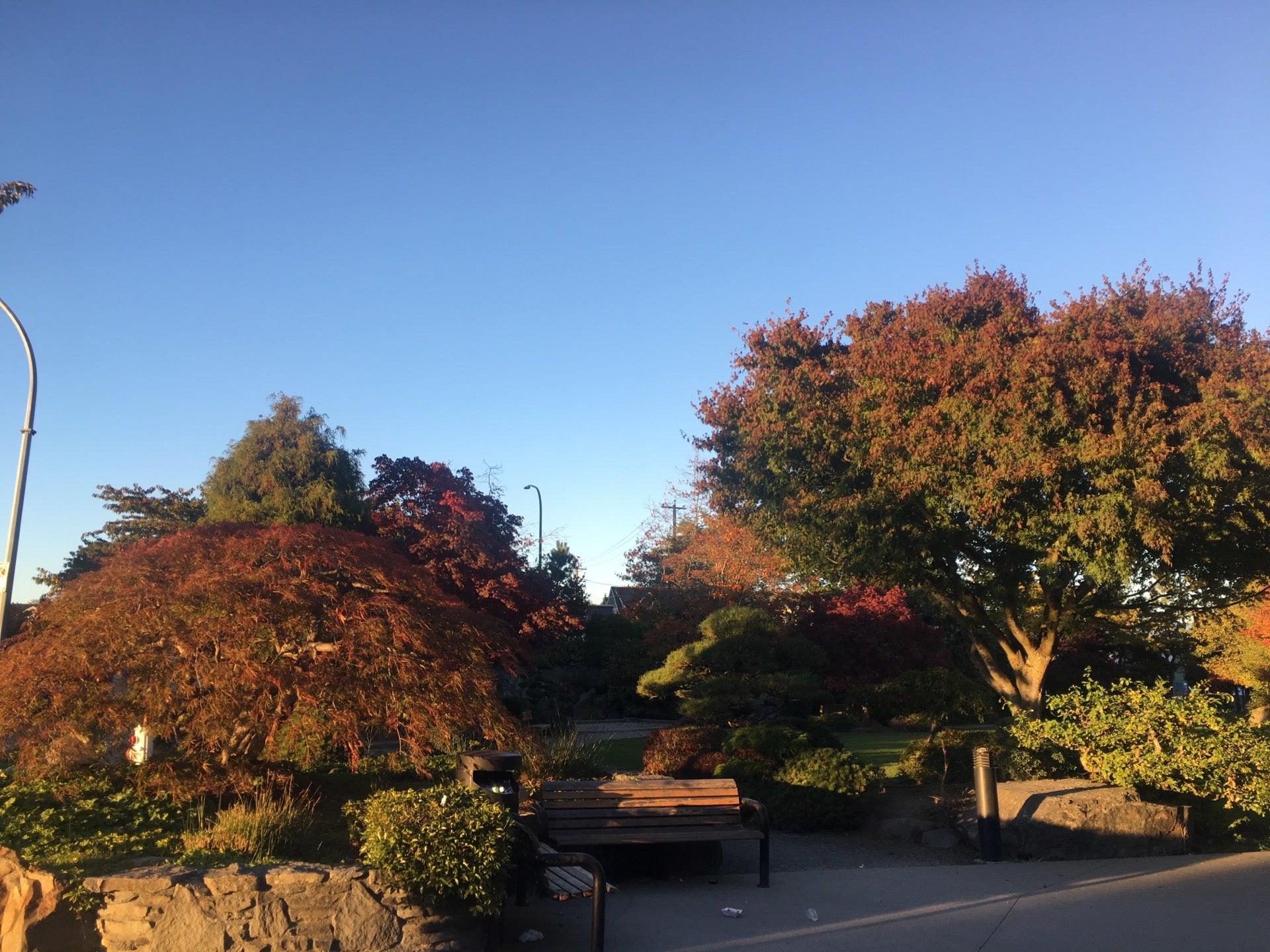 Suzuya Japanese Market