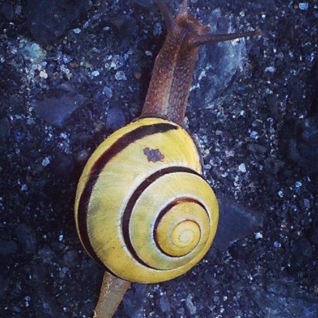 Kingston Athletic Therapy Centre