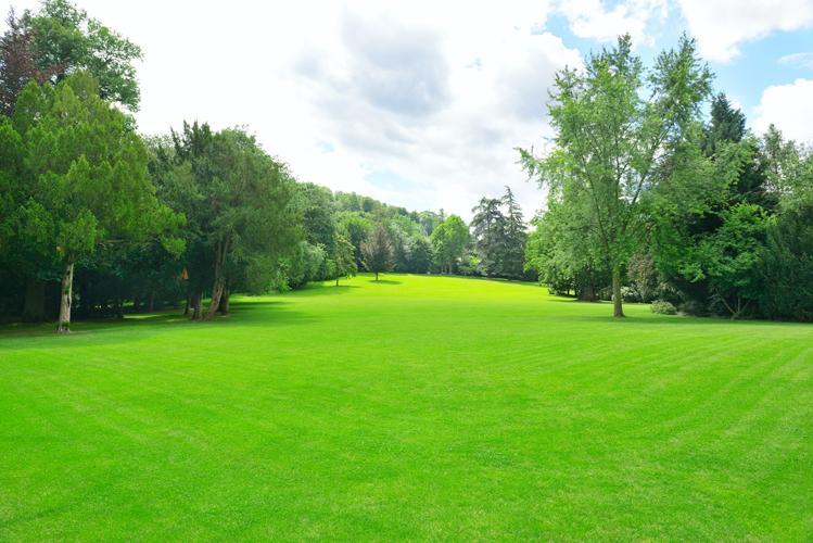 Urbain L'Expert Gazon Inc