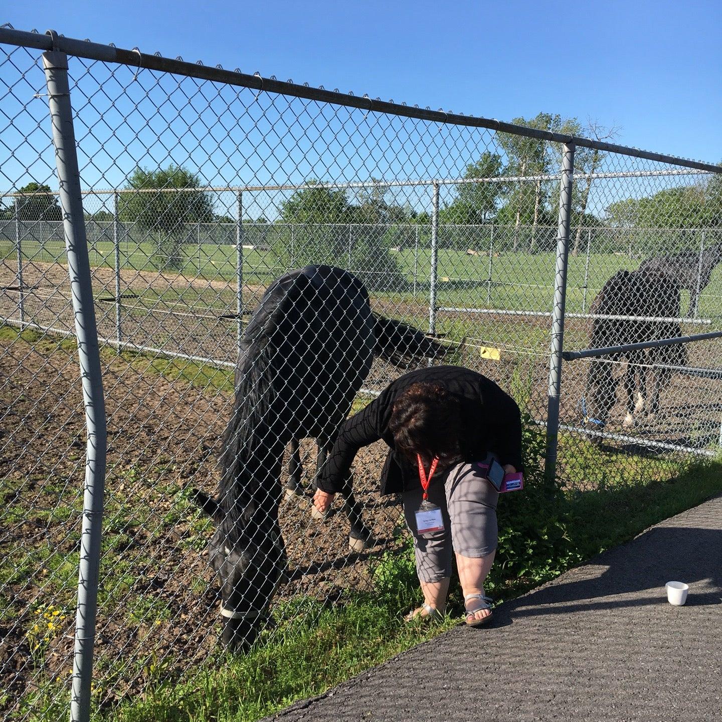 Encounters with Canada