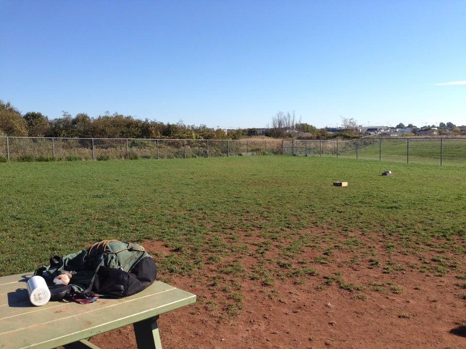 Dog Park