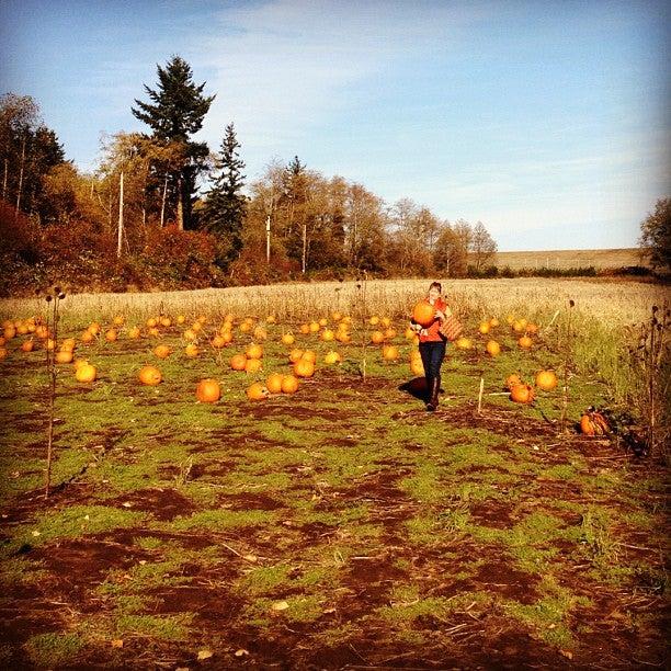 Sieffert's Farm Market