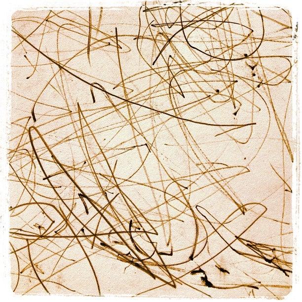 Wandering Moose Cafe