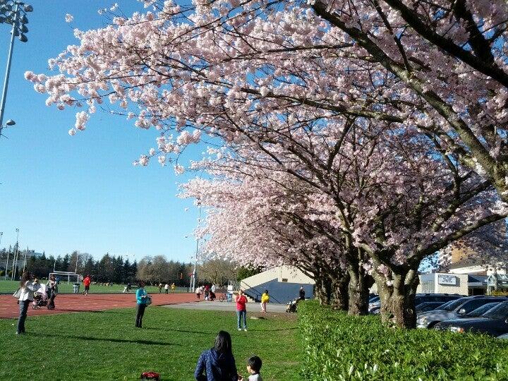 Minoru Arena