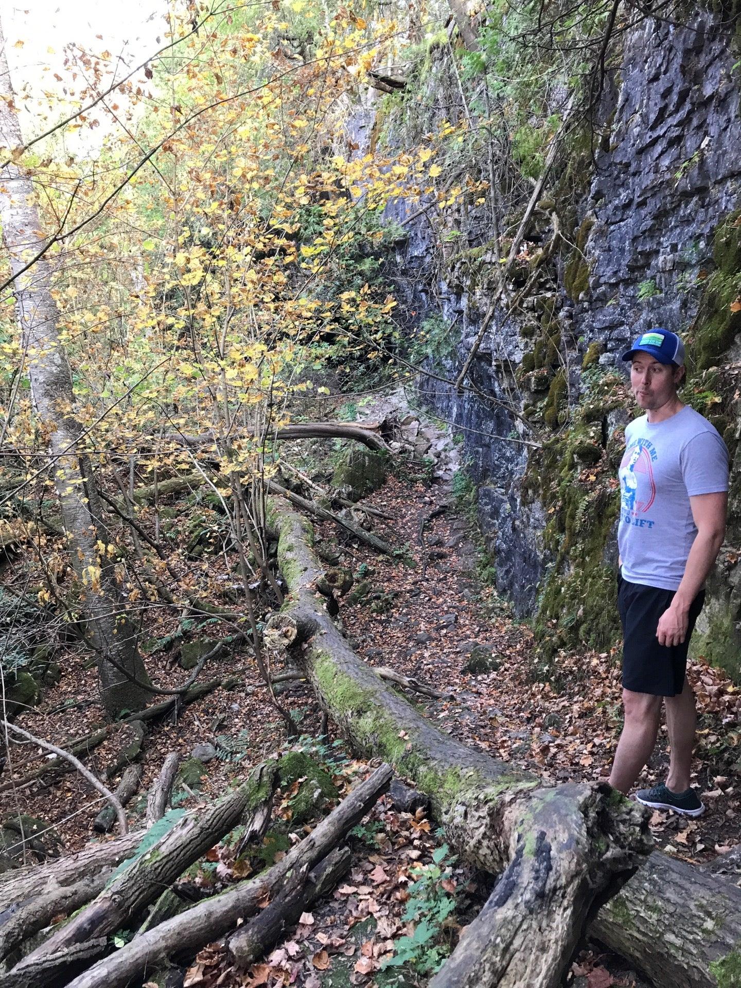 Bruce's Caves Conservation Area