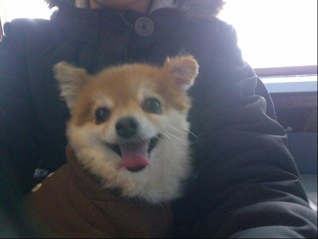 Sin on Skin Tattoo Studio