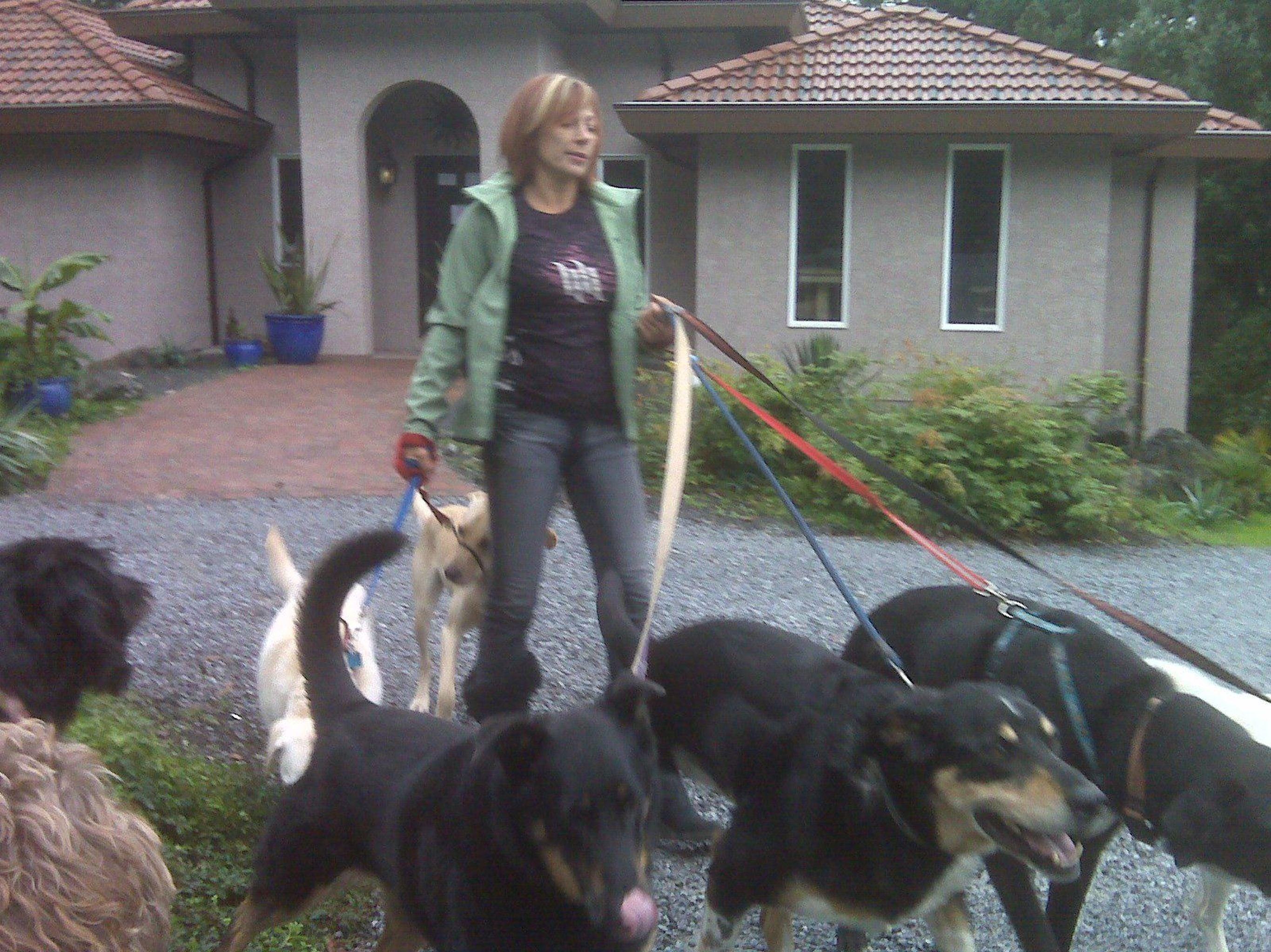 A Pawsh Oasis Pet Resort Inc