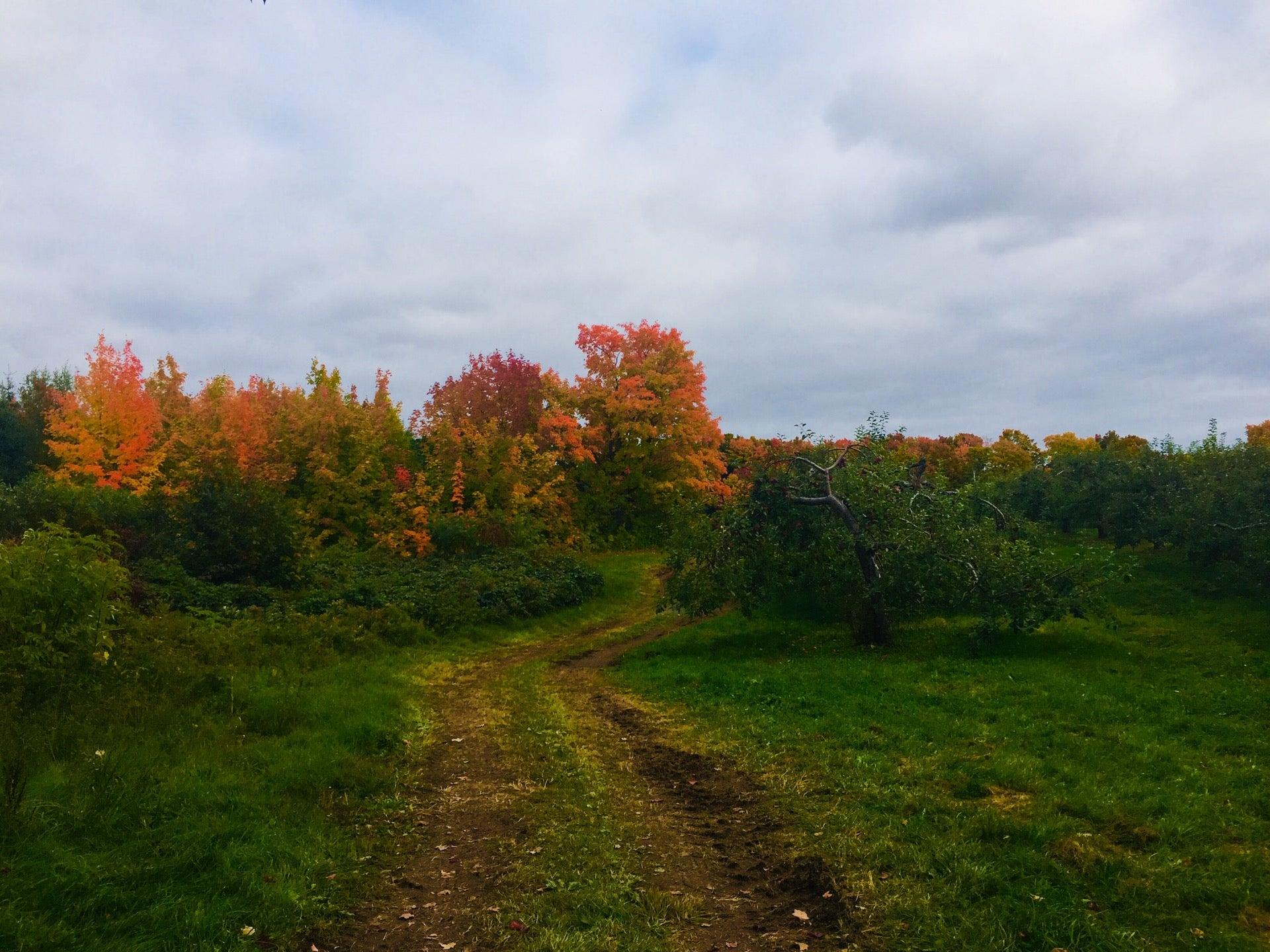 Ciderie La Pomme Du St-Laurent