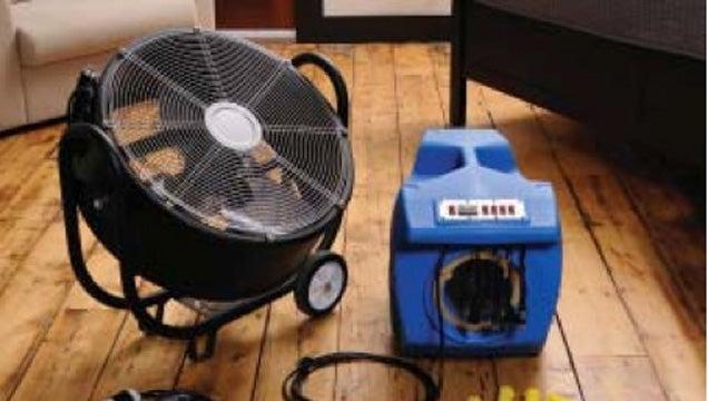 You Kill Bed Bugs Ltd