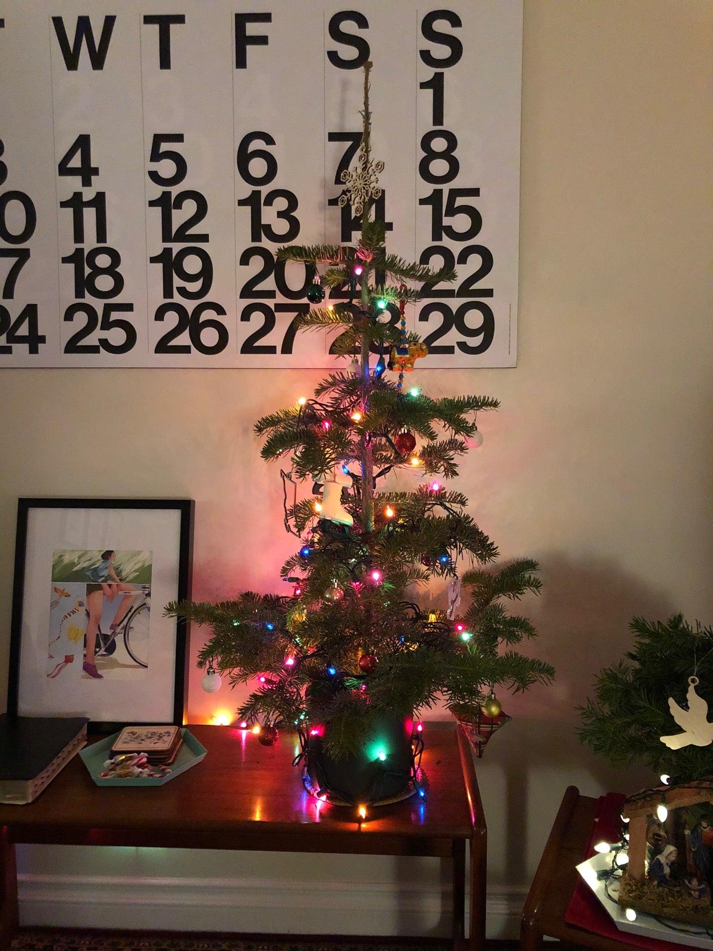 Saanichton Christmas Tree Farm