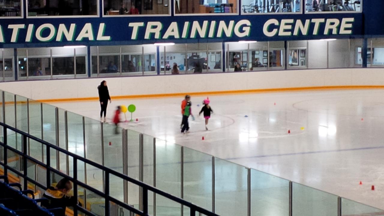 Mariposa School of Skating